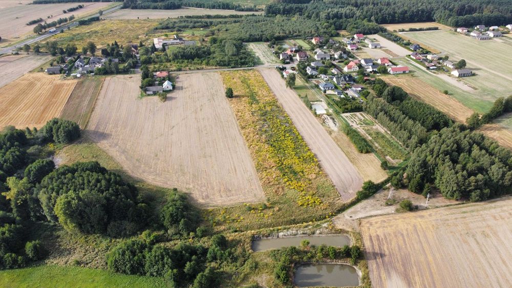 Działki budowlane- Biała, Radzyń Podlaski 0,21ha
