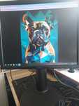 Monitor Dell E1913Sf + Klawiatura i Mysz oraz Skrzynka G3260