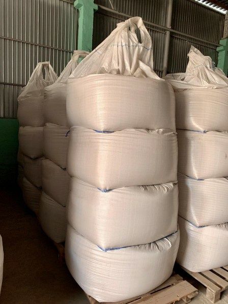 Насіння просо Вітрило