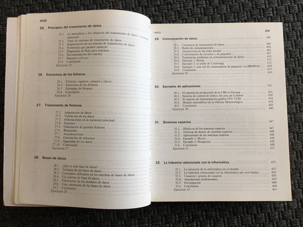 Conceptos de Informatica - Peter Bishop