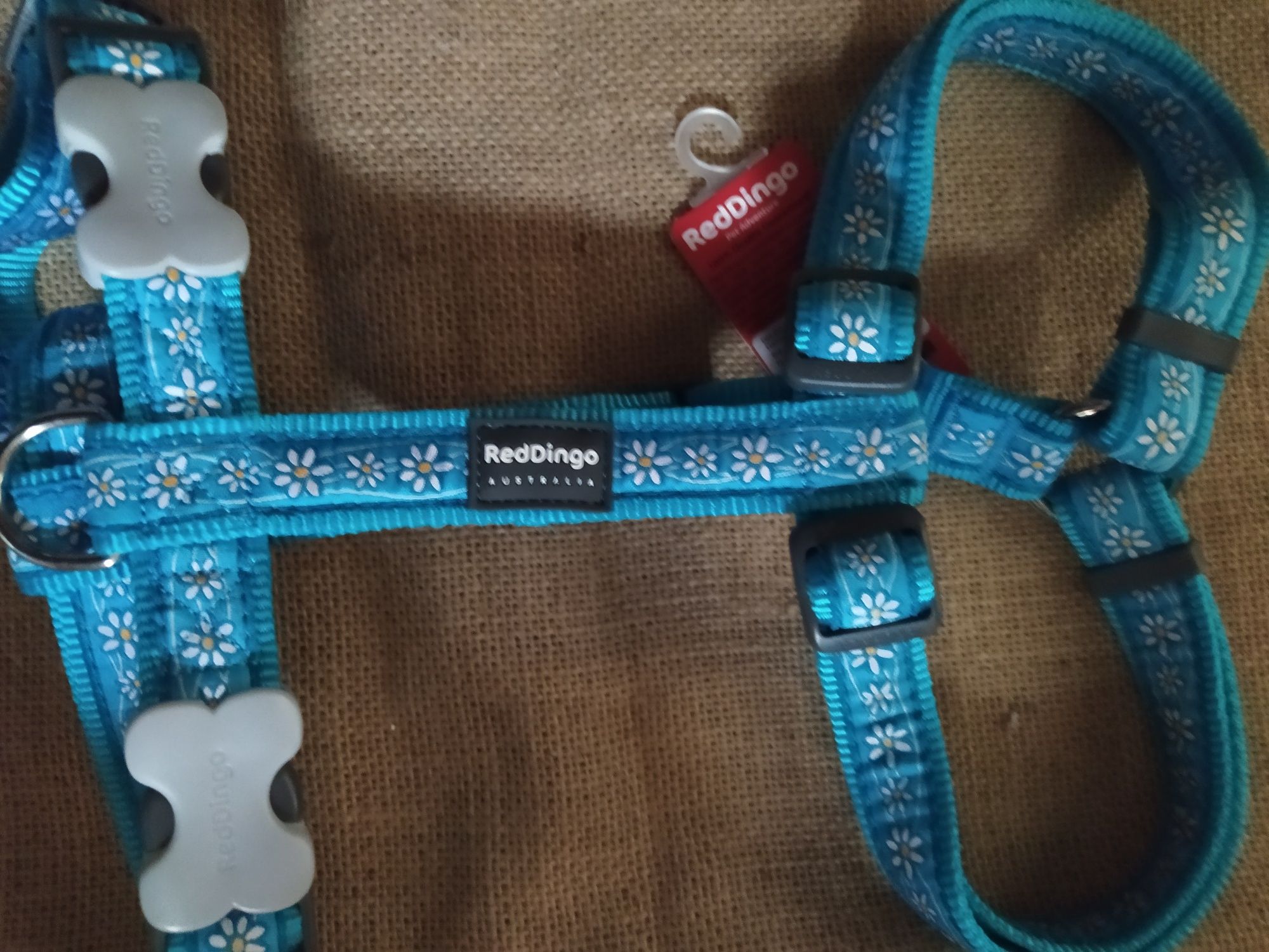 Peitoral XL RedDingo