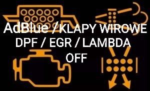 Adblue NOX DPF EGR | Błąd Naprawa Programowanie |