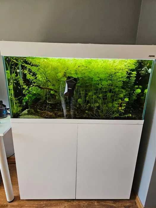 Akwarium Opti Tank 100 z szafką + oświetlenie LED Aquael