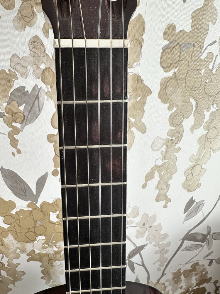 Классическая гитара Aria AK 20 з чохлом