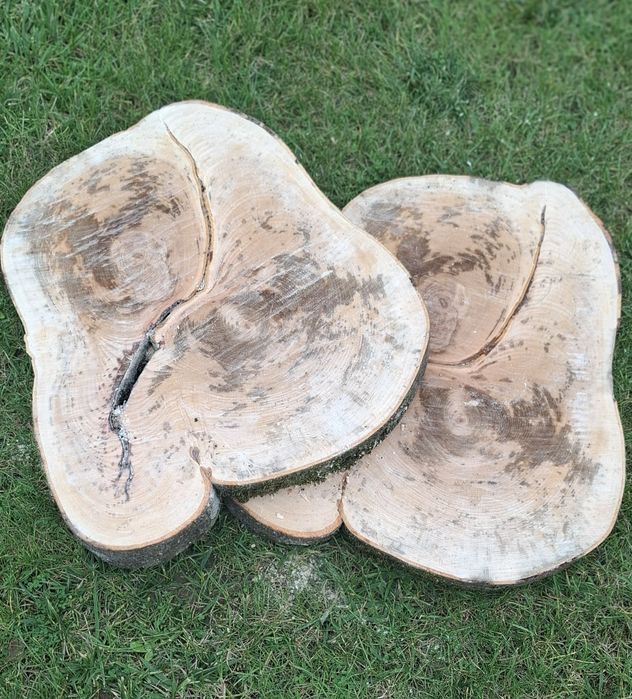 Plastry drewna bukowego