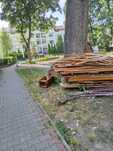 Oddam drewno wraz z schodami za darmo