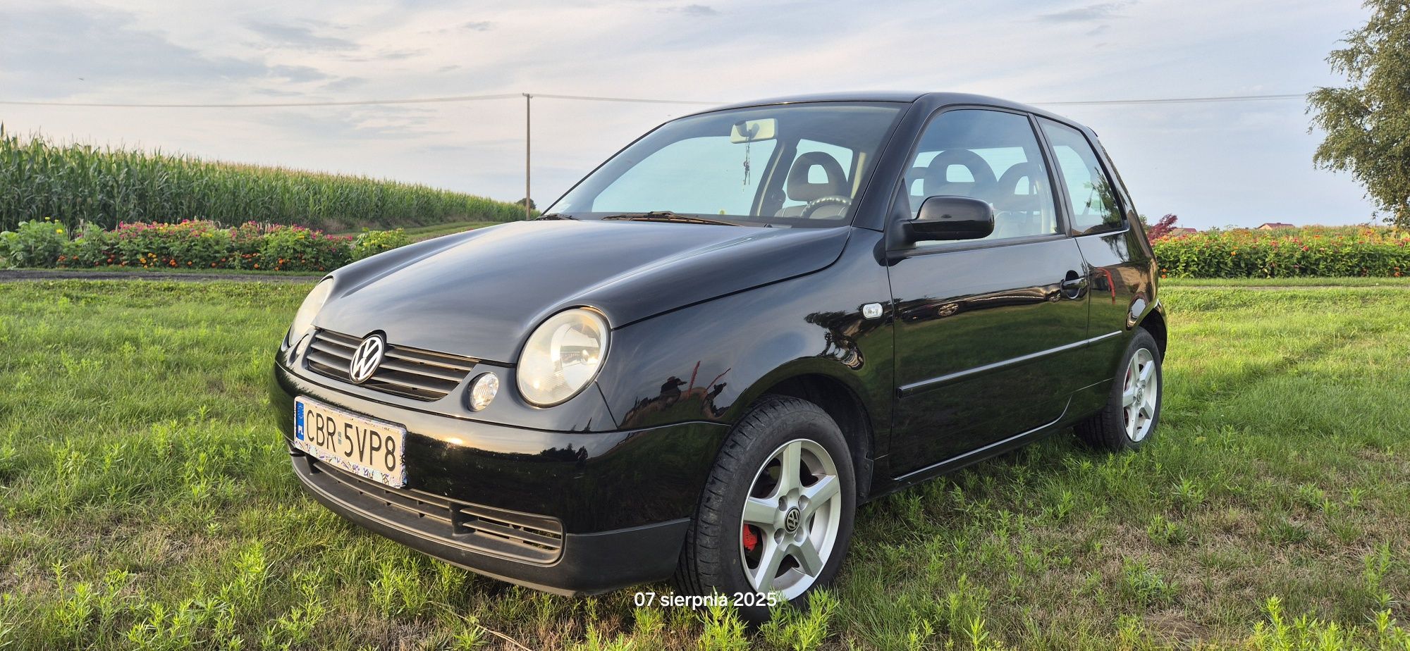 VW LUPO 2004r benzyna