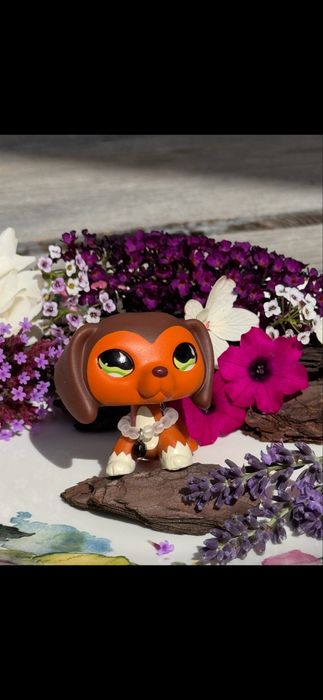 LPS littlest pet shop jamnik jamniczek Hasbro