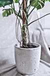 Donica beton 35cm
