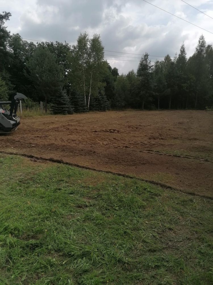 mulczowanie , karczowanie i wycinka drzew