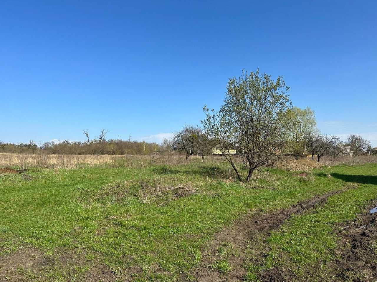 Продаж земельної ділянки 26 соток (ОСГ). На новому масиві. ТОРГ.ID:392
