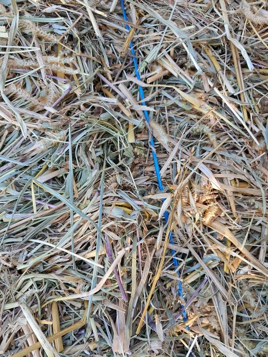 Овсяна солома в тюках!