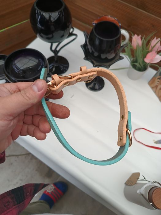 Nowa obroża dla psa