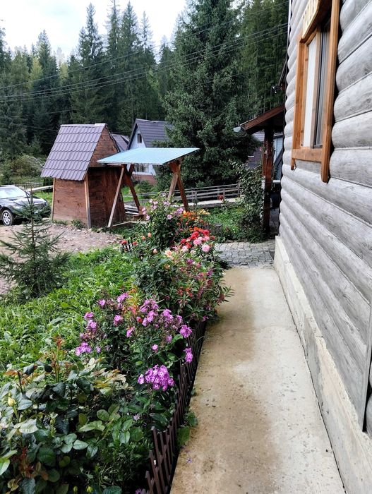 Оренда котеджу, будинку, житла у Карпатах