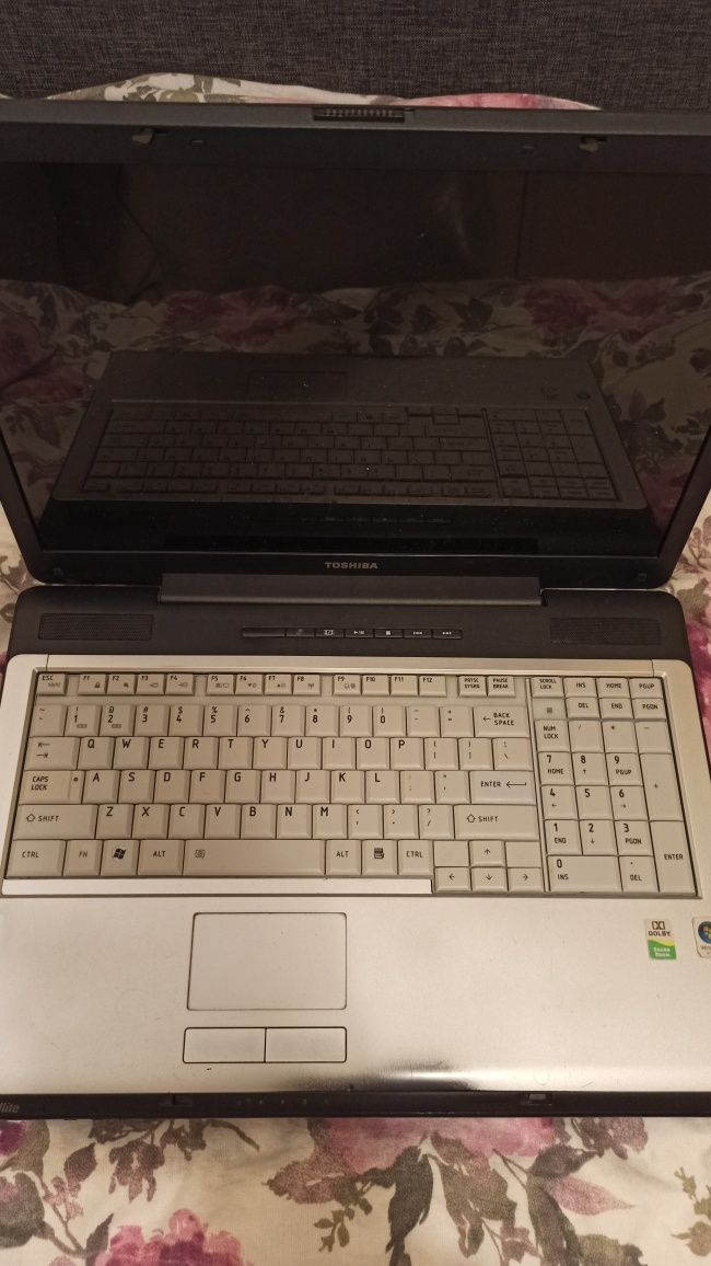 Toshiba Satellite