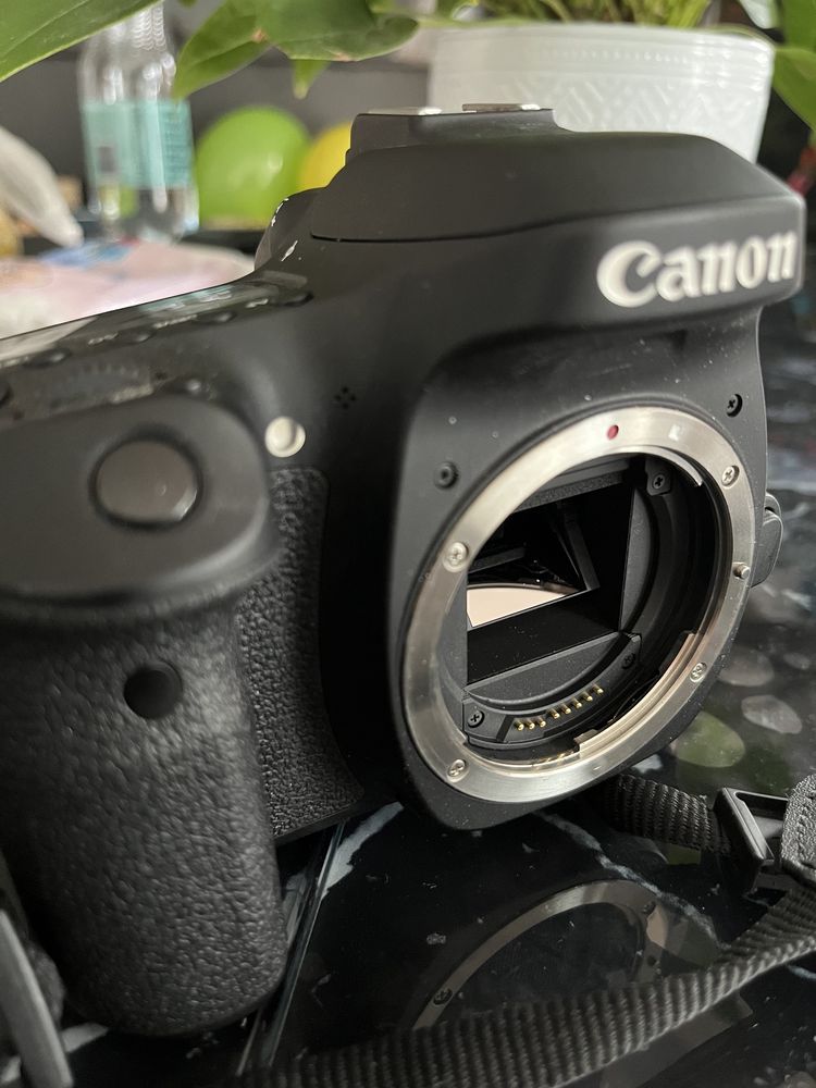 Lustrzanka Canon EOS 80D