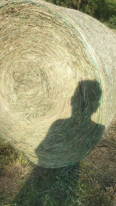 Produkty rolne siano