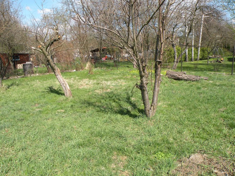 działka budowlana 639m. Żywiec