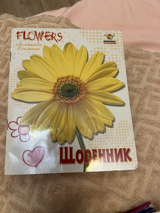 Щоденник доя школи