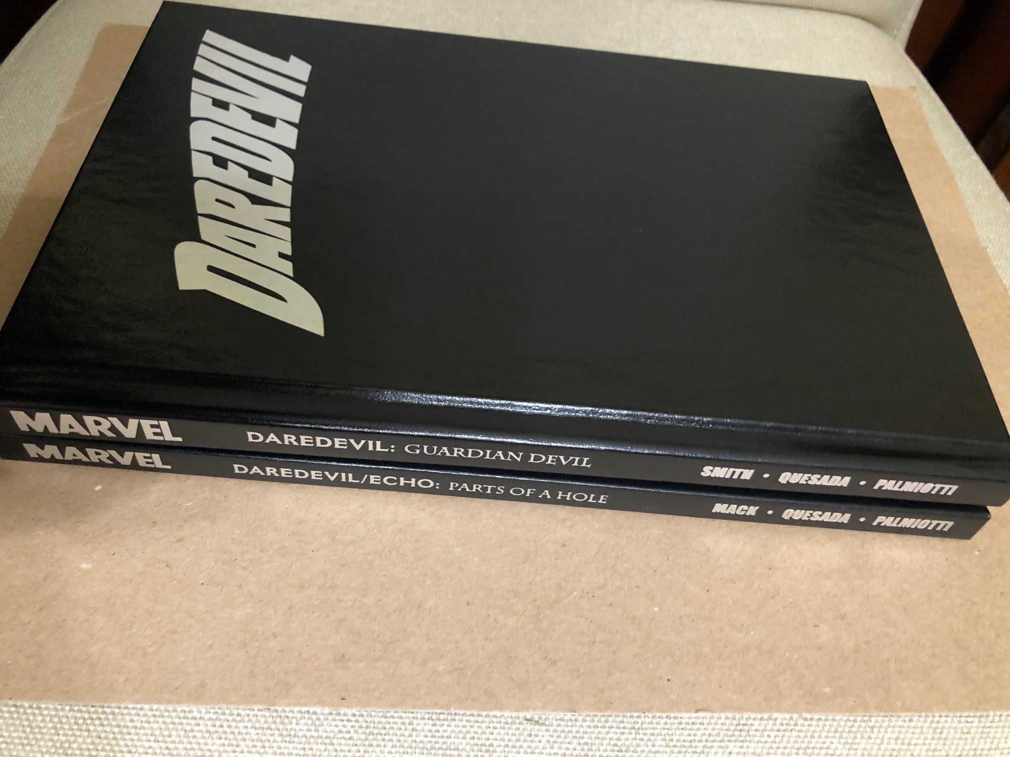 Daredevil: Guardian Devil e  Parts of a Hole HC Marvel - Omnibus