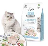 Brit Sensitive 2kg + Gratis, Allergy Insect Herring Koty Wrażliwe