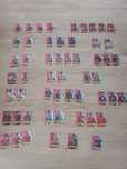 Zestaw. Album +  karty panini