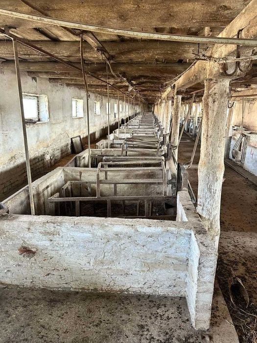 ОРЕНДА, ПРОДАЖ свиноферми