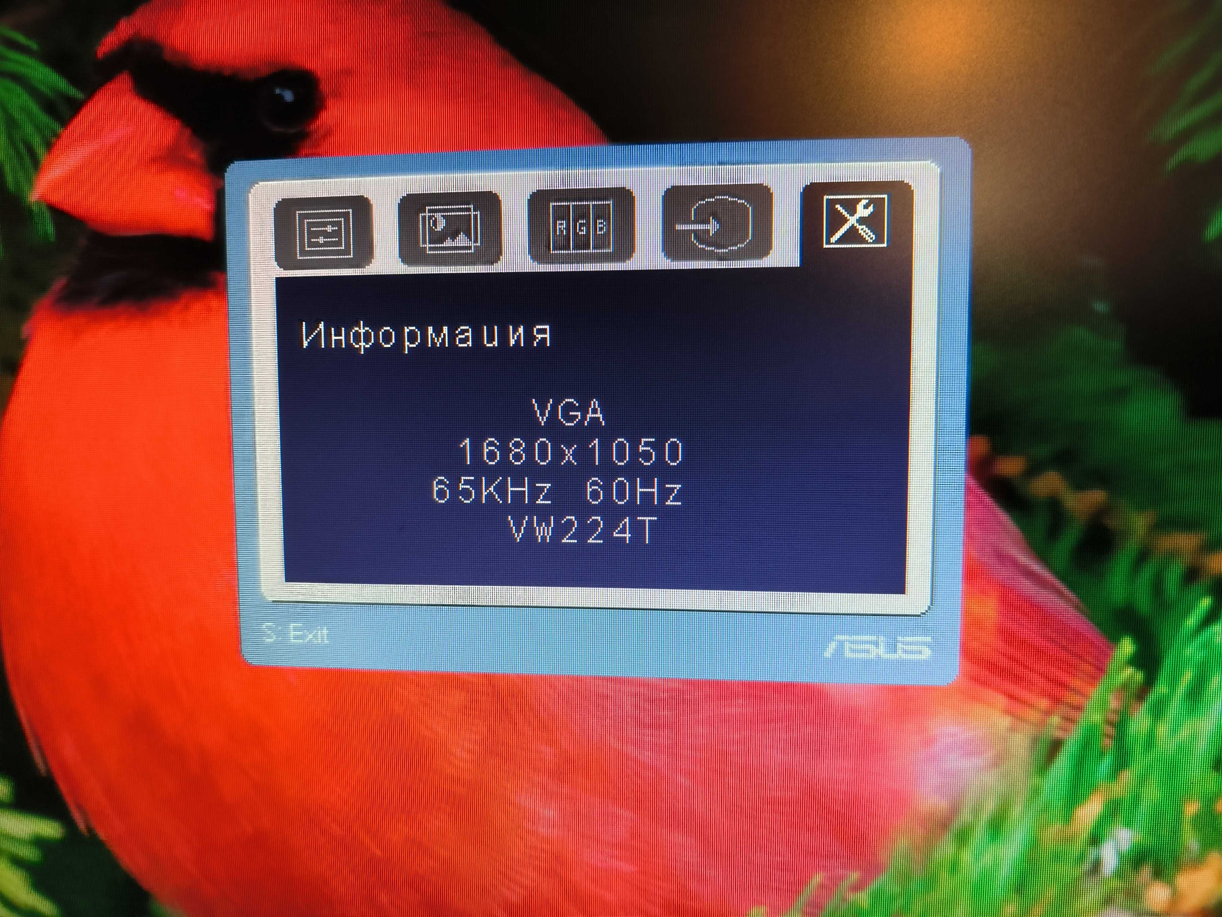 Монитор Asus 22 дюйма vga dvi , встроен звук