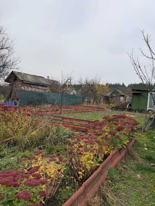 Продаж дачі в с. Березанка, садове товариство “Полісянка”!