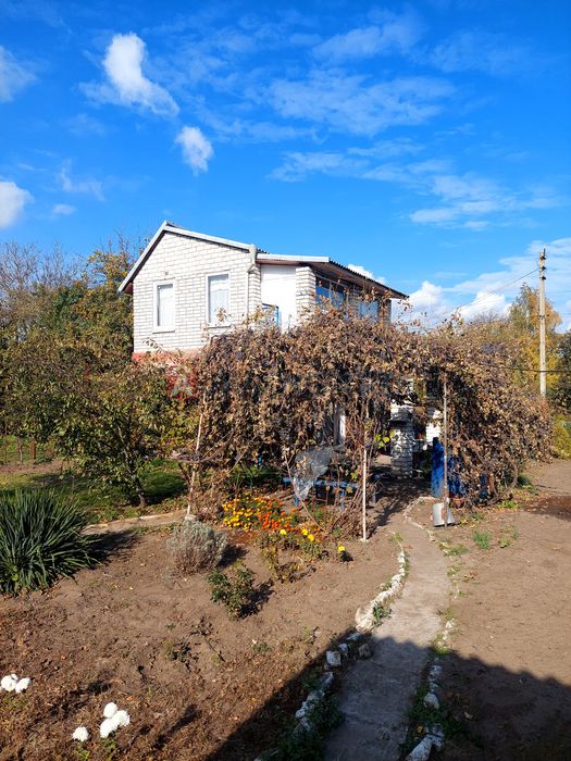 Затишна дача неподалік від лісу