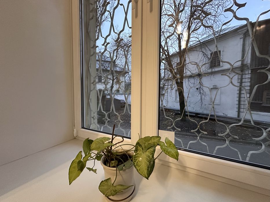 Стрілецька 6/7, метро Золоті ворота. Центр, 1к кв.