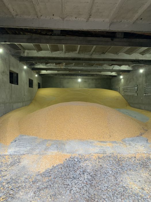 Оренда приміщення Куликів 250м2