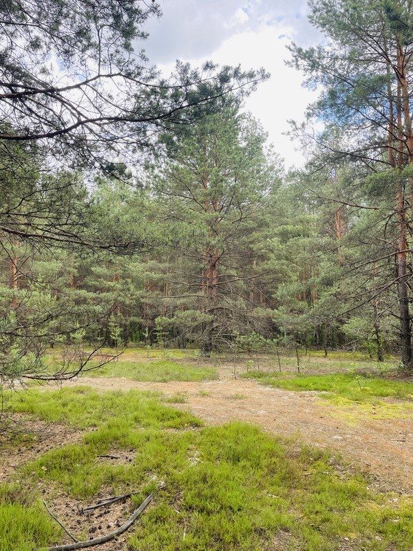 Земельні ділянки в Пилиповичах під Забудову