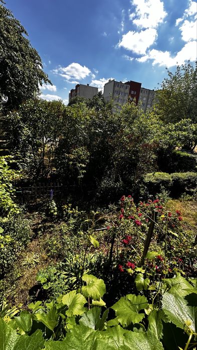 Mieszkanie w Otwocku bez dodatkowych kosztów , ogródek !!!