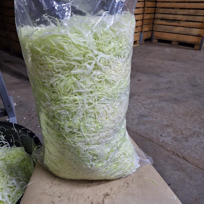 Kapusta szatkowana i główki