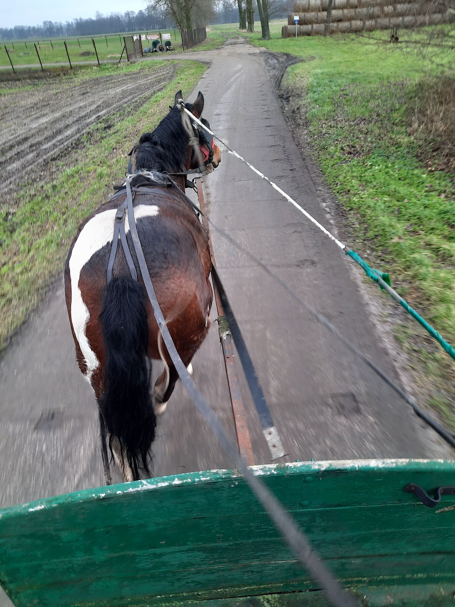 Konie Lądek Rekreacja Sport