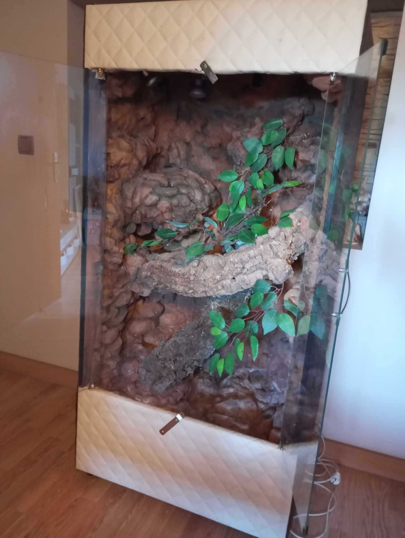 Duże terrarium z szafy 160x80x50cm
