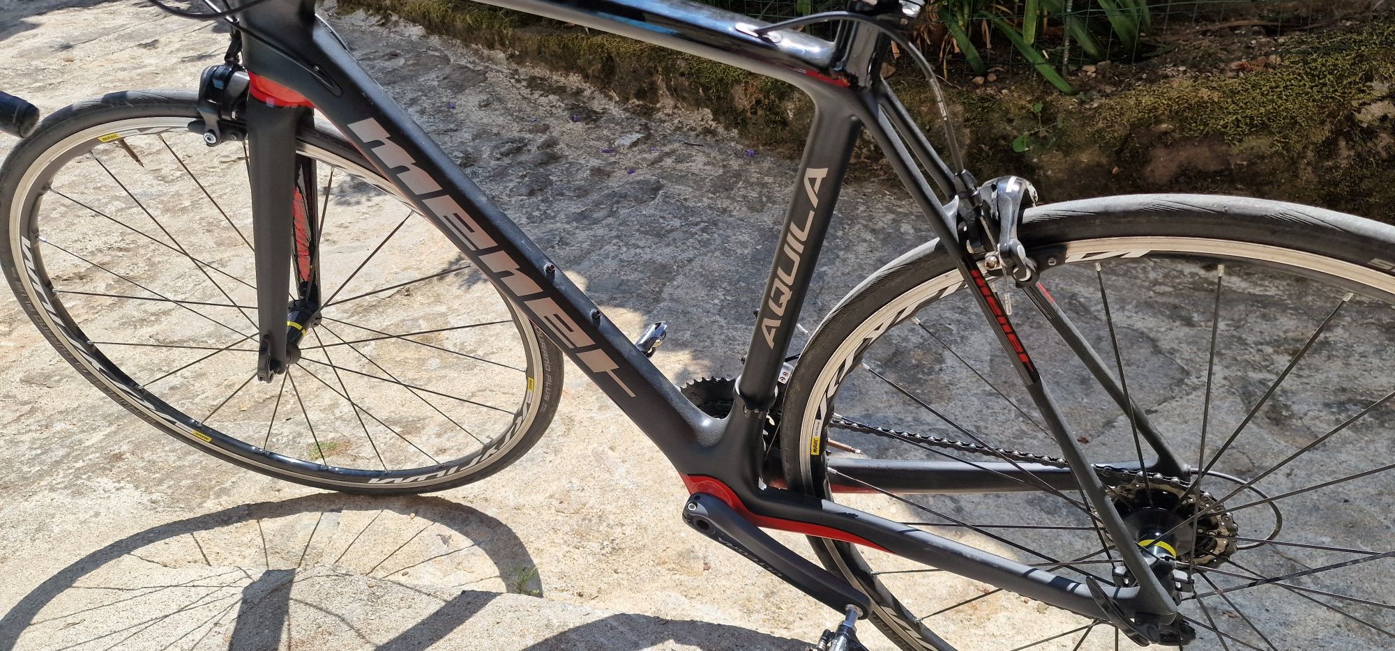 Bicicleta menet aquila