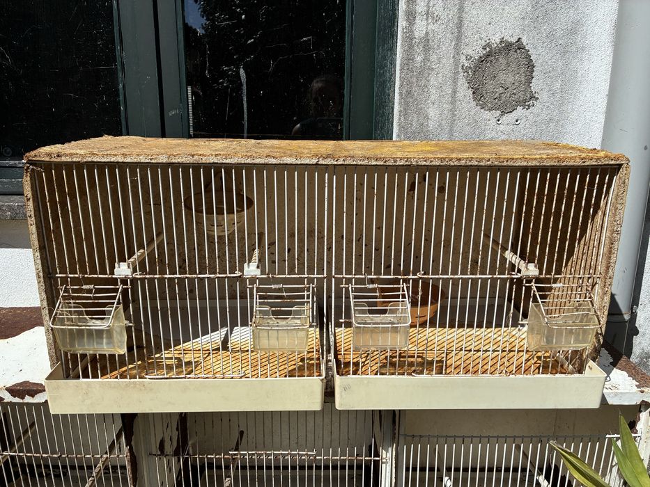 Gaiolão para pássaro