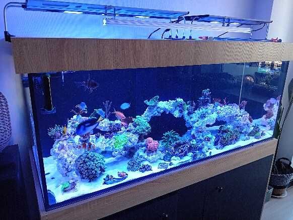 Sprzedam lampy Maxspect Razor 420