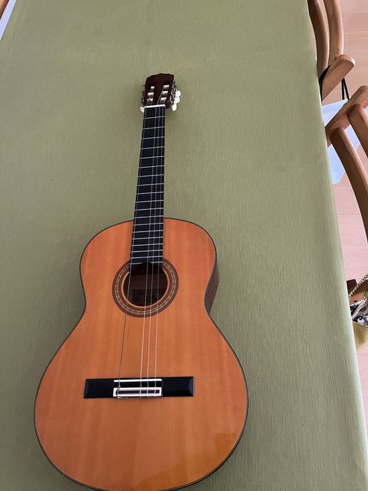 Guitarra AK-20.