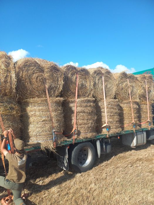 Venda de feno e palha