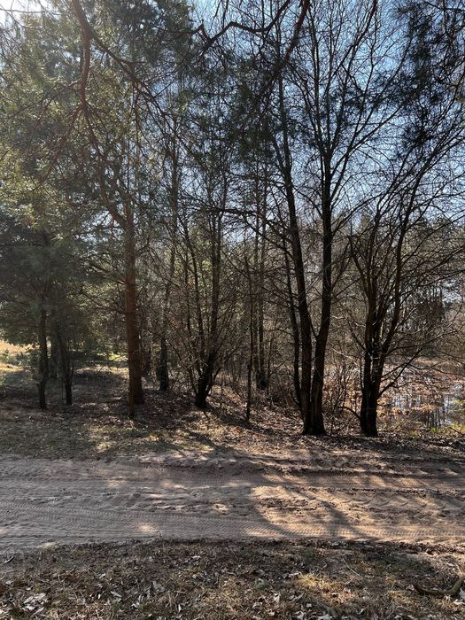 Działka budowlana Ruda Pniewnik