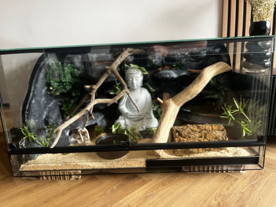 Terrarium z lokatorem