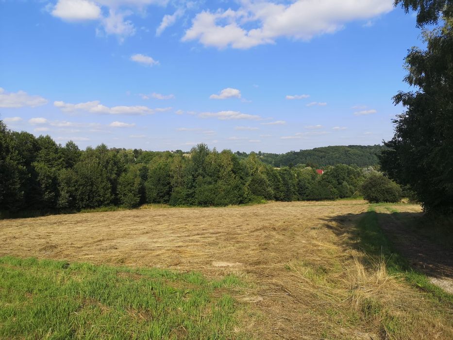 Piękne, widokowe działki w Ryglicach