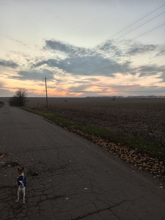 Будинок з ділянкою 15 сот біля Полтави