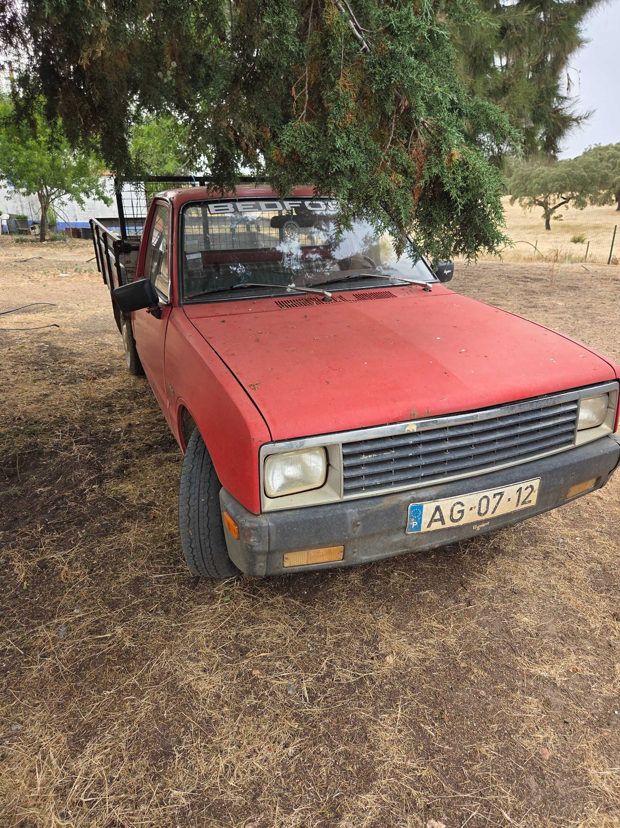 Bedford 5 estrelas