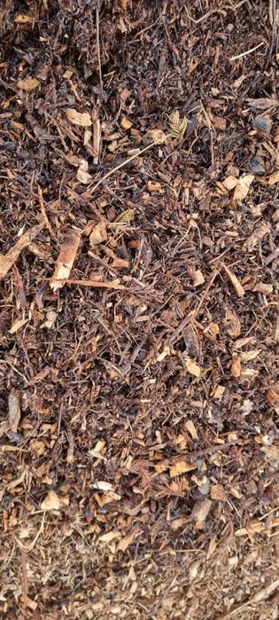 zrębki zrębka mieszana sciółka