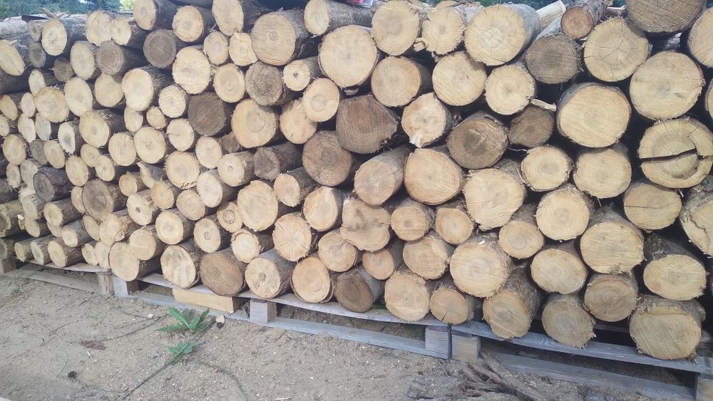 Sprzedaż drewna opałowego i kominkowego Dąb, Jodła, Świerk, Olcha, Ośi