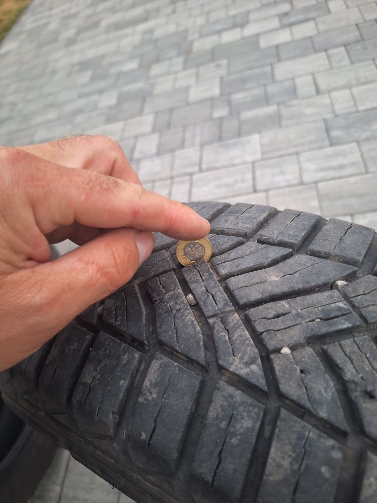 Opony Wielosezonowae 195.65 R16 C